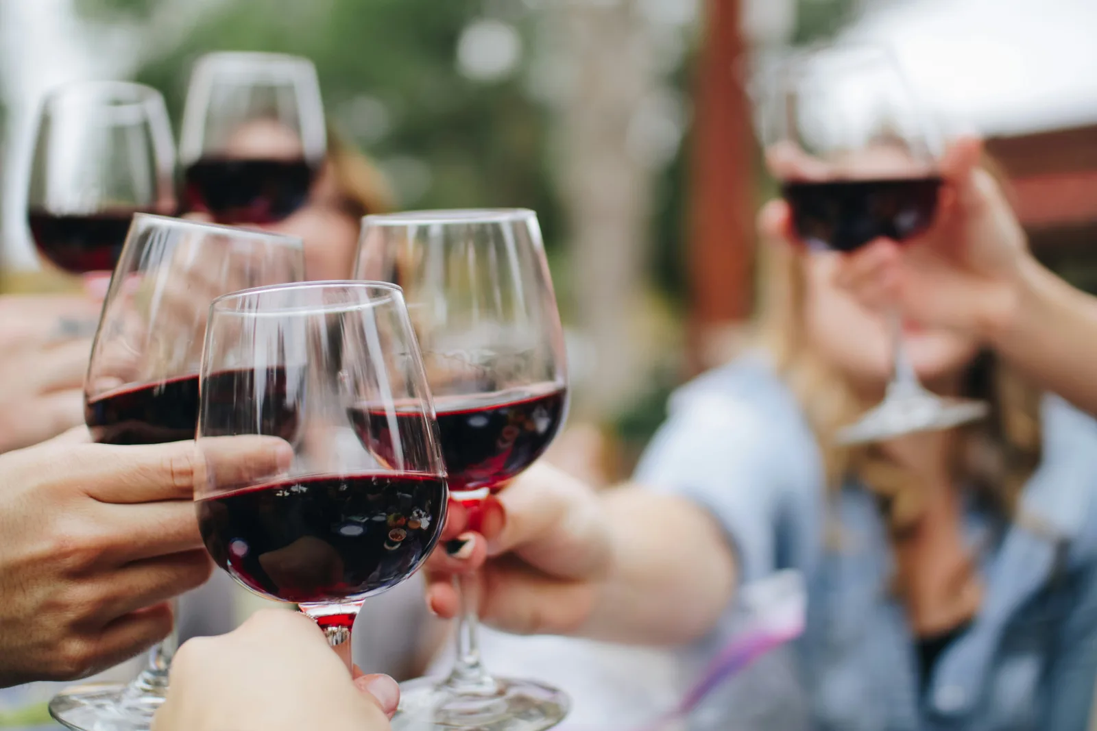 Sommelier presenting a curated Italian wine selection